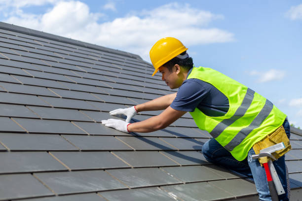 Best Storm Damage Roof Repair  in Royalton, IL