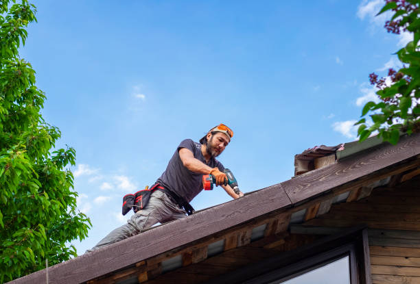 Best 4 Ply Roofing  in Royalton, IL