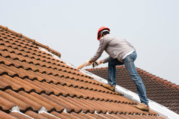 Best Roof Ventilation Installation  in Royalton, IL