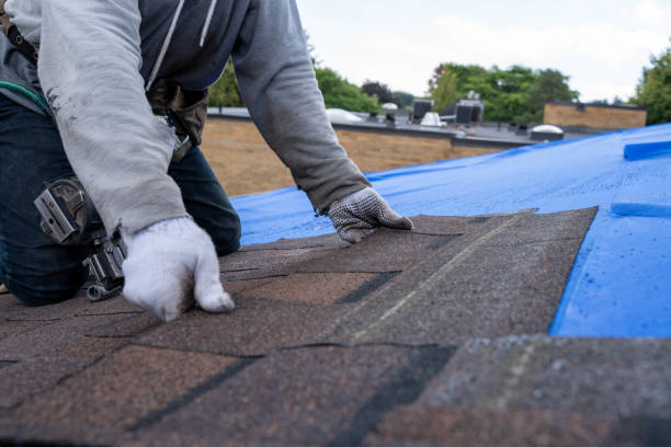 Best Chimney Flashing Repair  in Royalton, IL