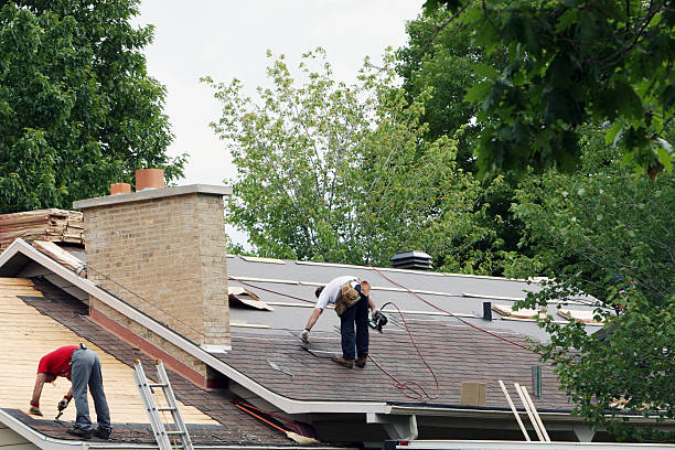 Best Roof Leak Repair  in Royalton, IL